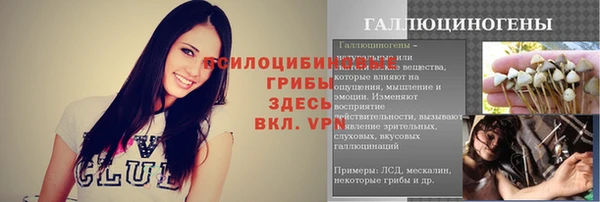 круглые Алзамай