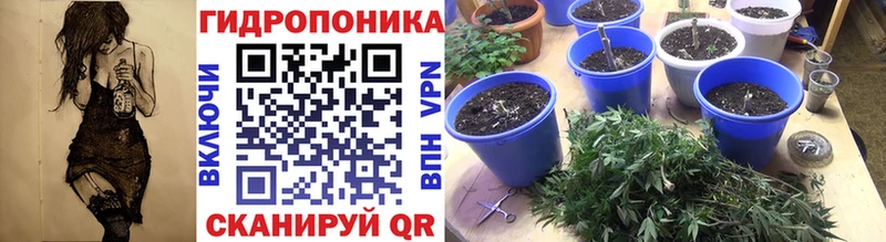 закладки  Грязовец  Канабис планчик 