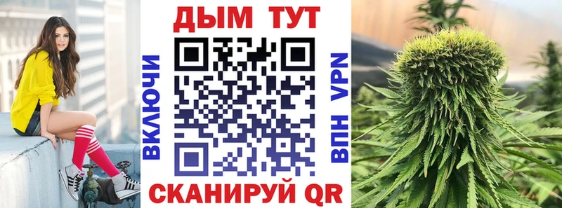 Марихуана конопля Грязовец